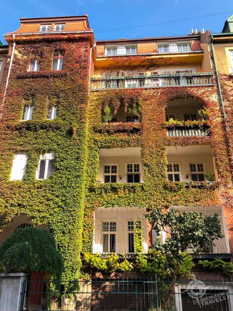 Bratislava apartment building with ivy