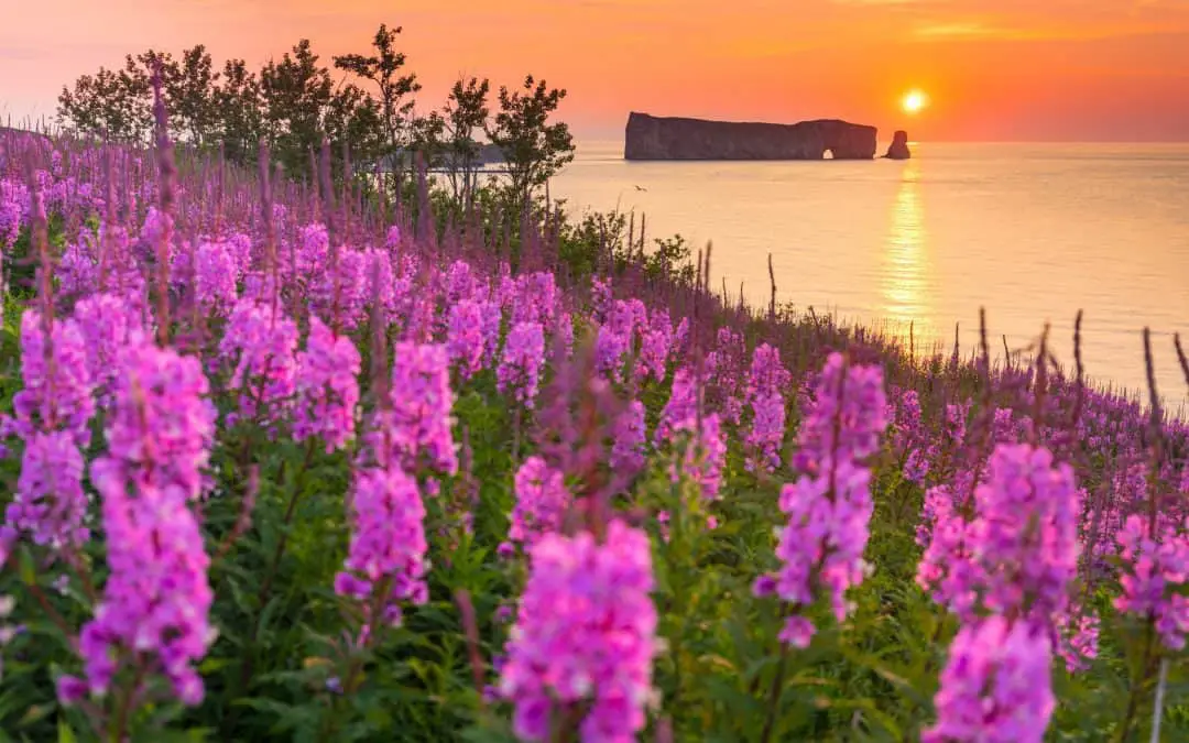 Planning our 10 Best Things to Do in the Gaspé Peninsula