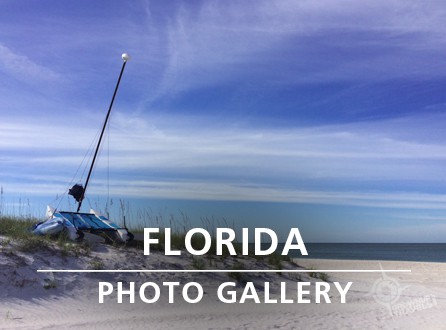 FLORIDA PHOTO GALLERY_link image