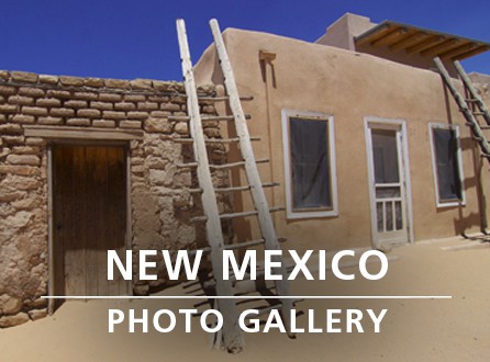 NEW MEXICO PHOTO GALLERY_link image