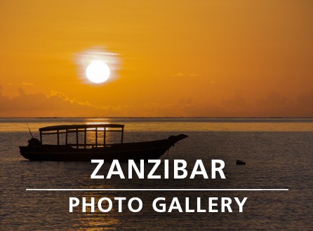 ZANZIBAR PHOTO GALLERY_link image