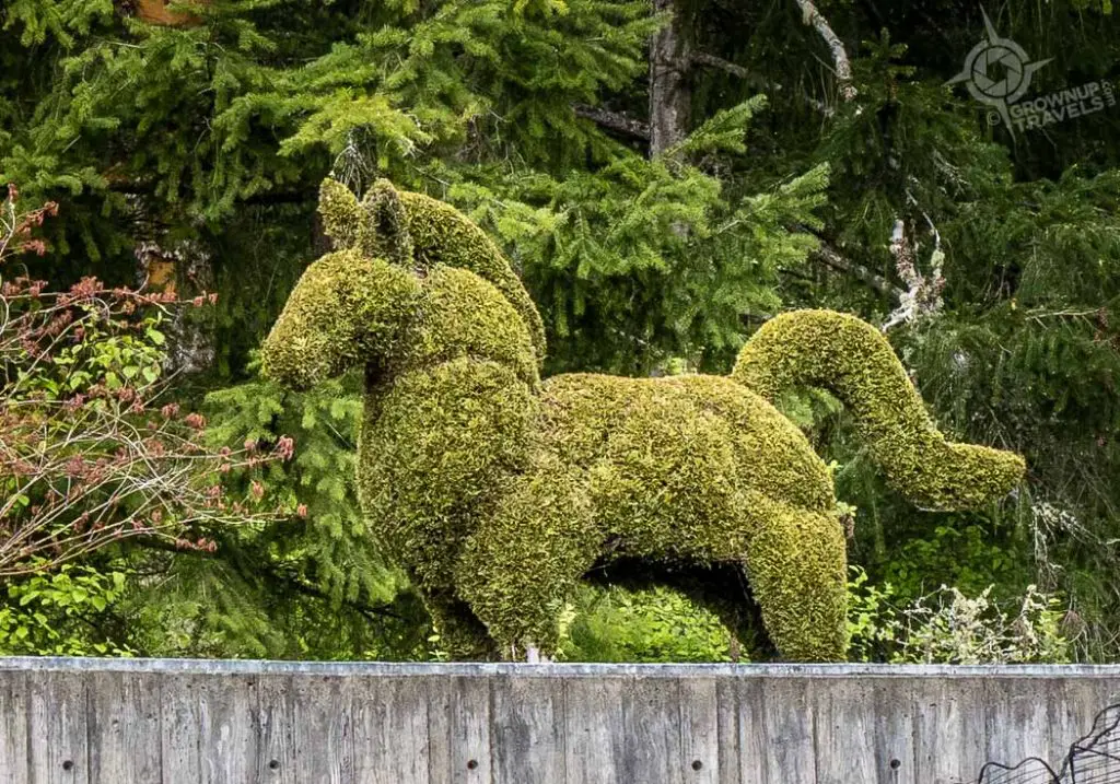 Butchart Gardens horse topiary