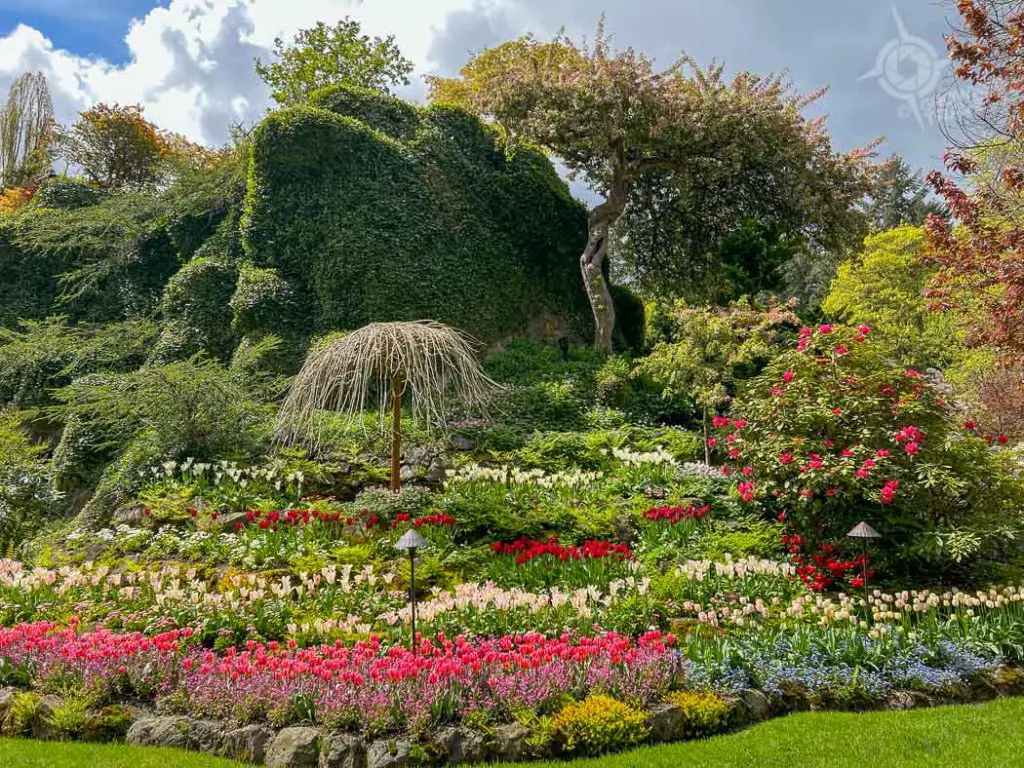 Butchart Gardens in the spring