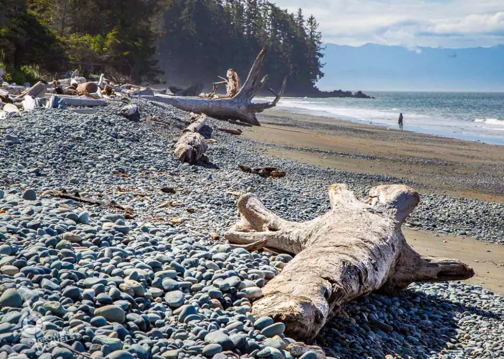 French Beach Vancouver Island West Coast