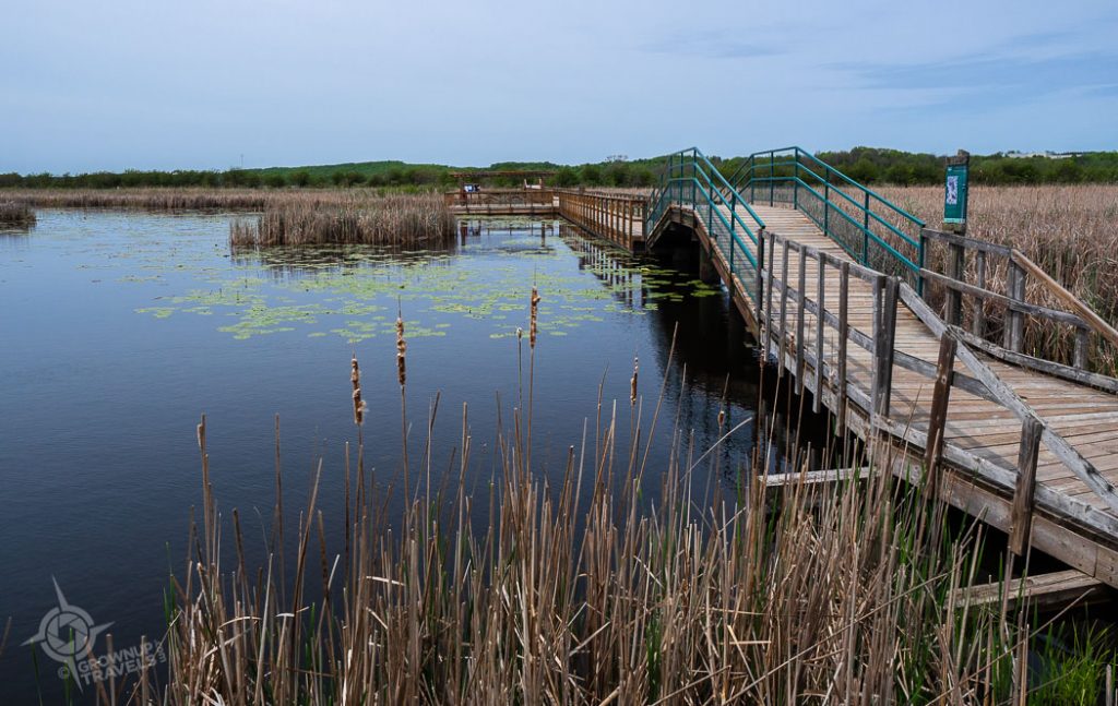 Wye Marsh boardwalk