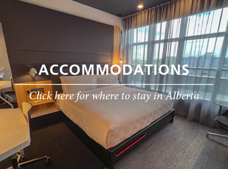 Boutique Accommodations in Alberta