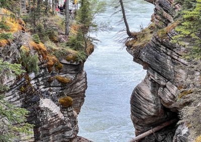 Athabasca falls gorge on Icefields Parkway Alberta