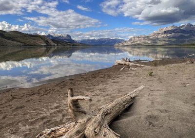 Athabasca river on calm day with driftwood on beach at folding mountain Alberta