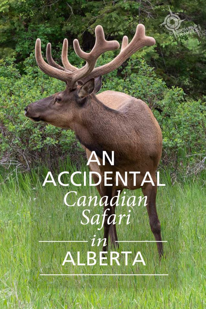 PINTEREST_CanadianSafari
