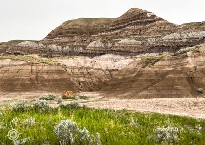 Sculpted cliffs near the Hoodoos Alberta