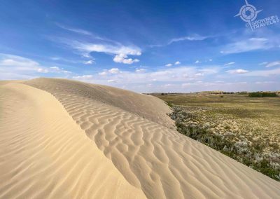 Great Sand Hills Saskatchewan dune edge with landscape-1