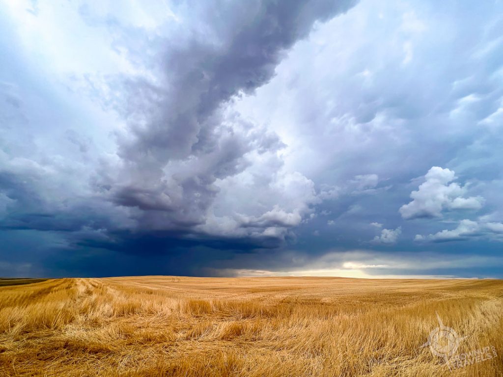 Storm Clouds and wheat field in southern Saskatchewan