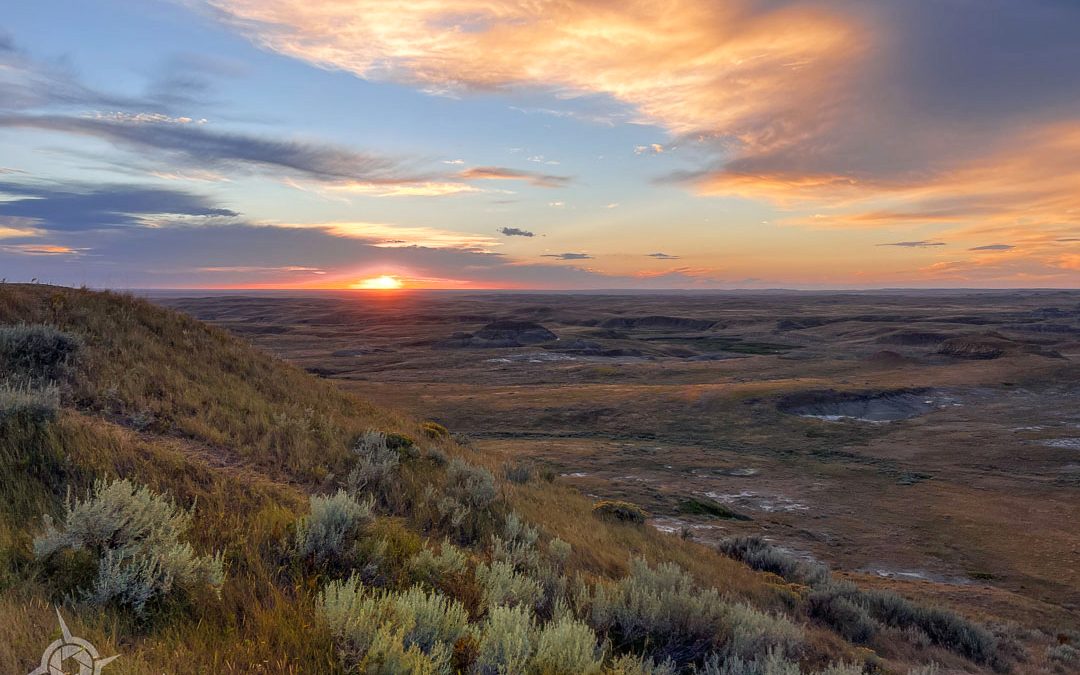 Grasslands National Park: Saskatchewan’s Hidden Gem