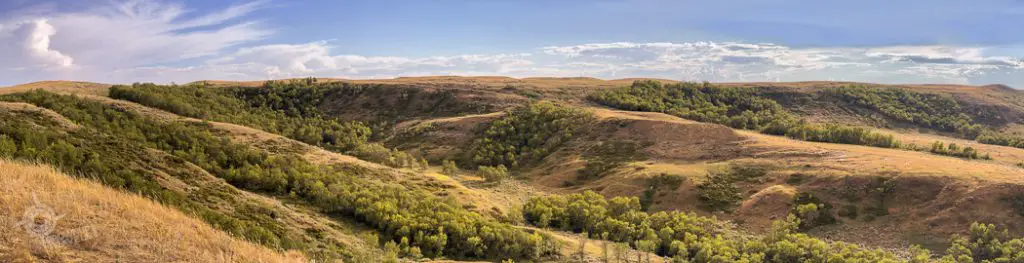 lush coulee in Grasslands National Park East Block