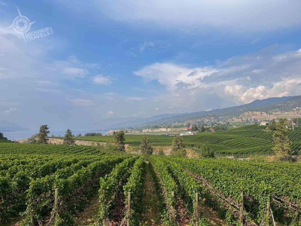 Vineyards Okanagan Valley KVR Trail Penticton