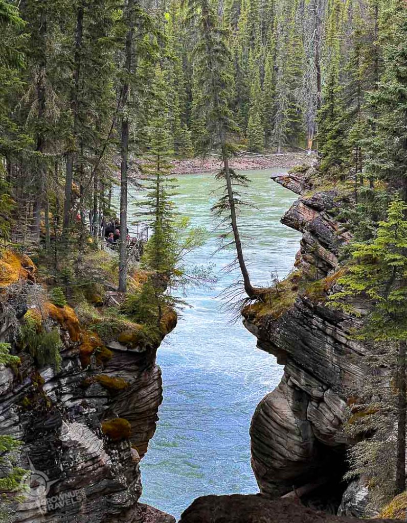 Athabasca Falls view from bridge