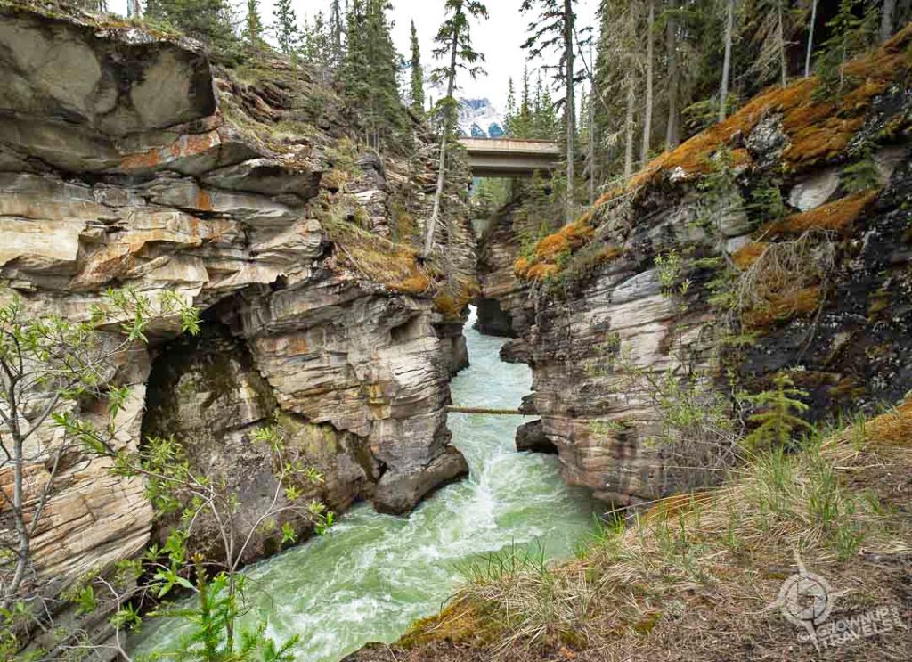 Athabasca Falls from below bridge
