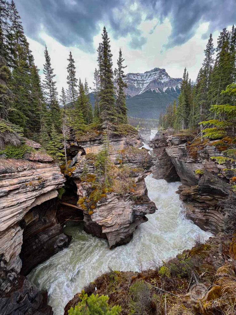 Athabasca Falls