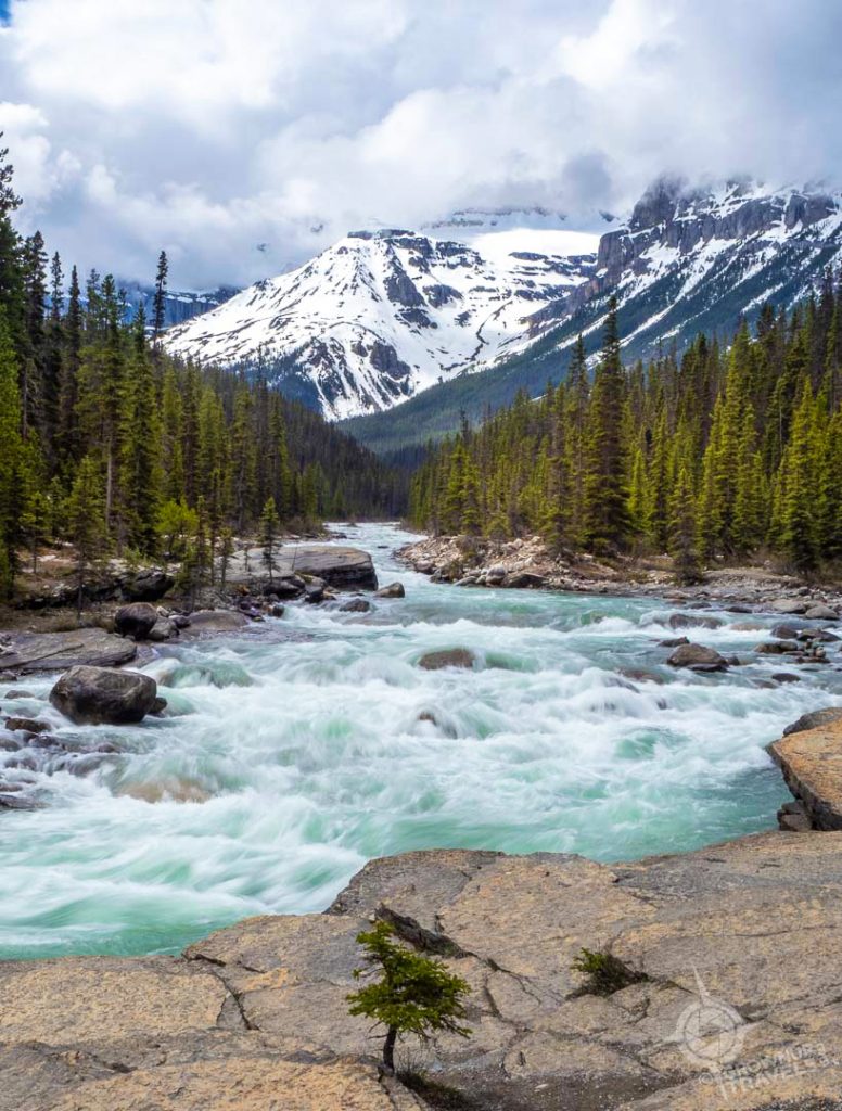 Mistaya Canyon on icefields parkway