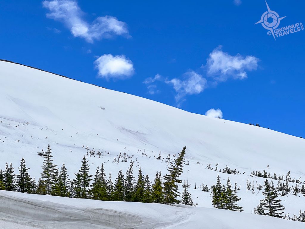 Parker Ridge Icefields Parkway