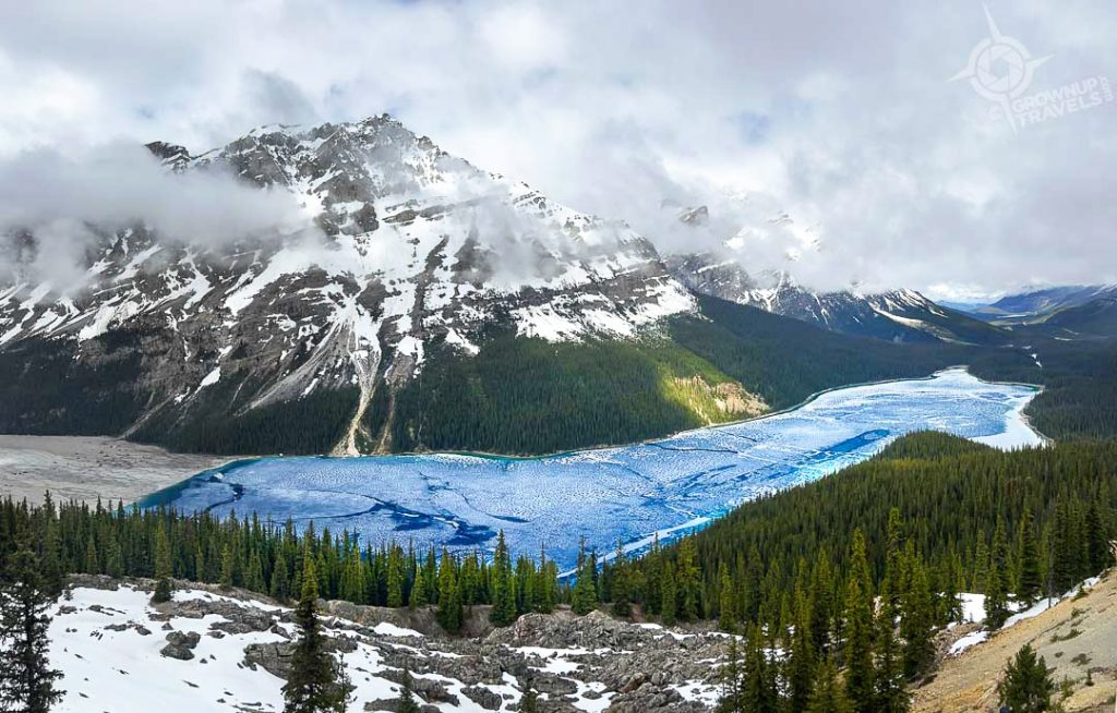 Peyto Lake panorama