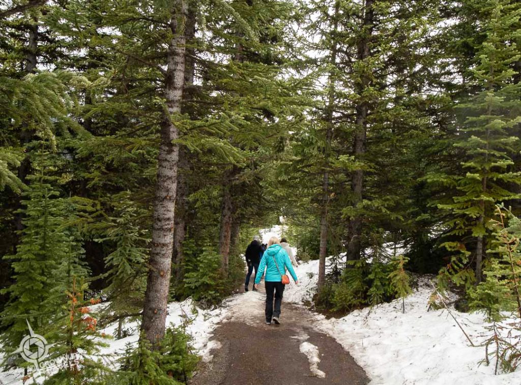 Peyto Lake snowy path