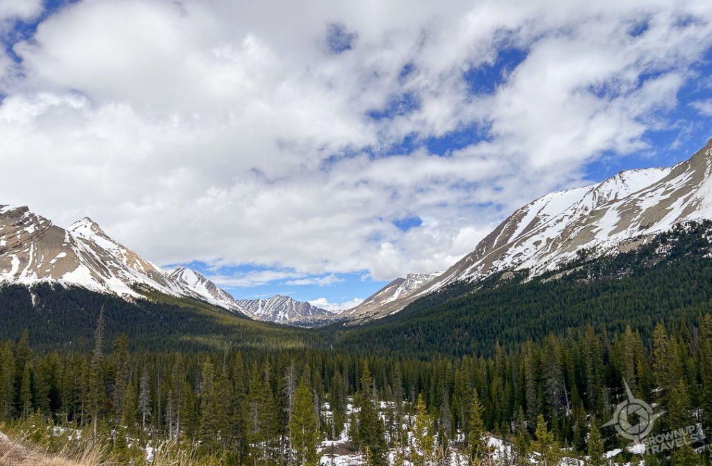 icefields parkway views from Parker Ridge