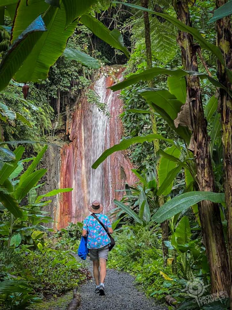 Henk walking towards Diamond Falls at Botanical Gardens St. Lucia