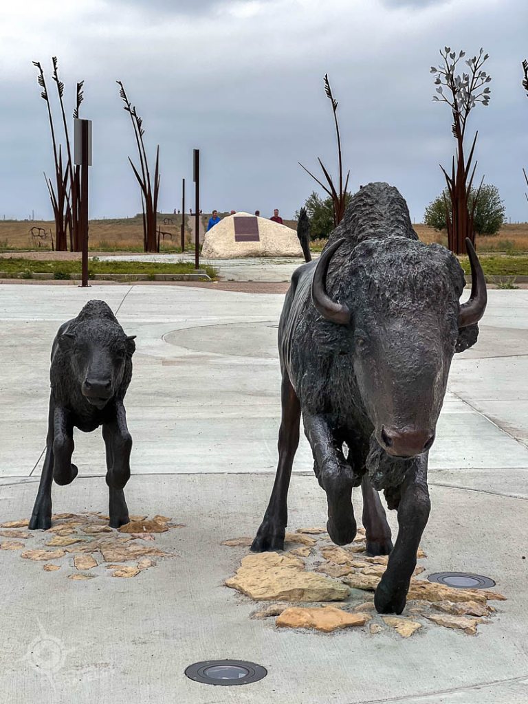 Wanuskewin sculptures bison and calf