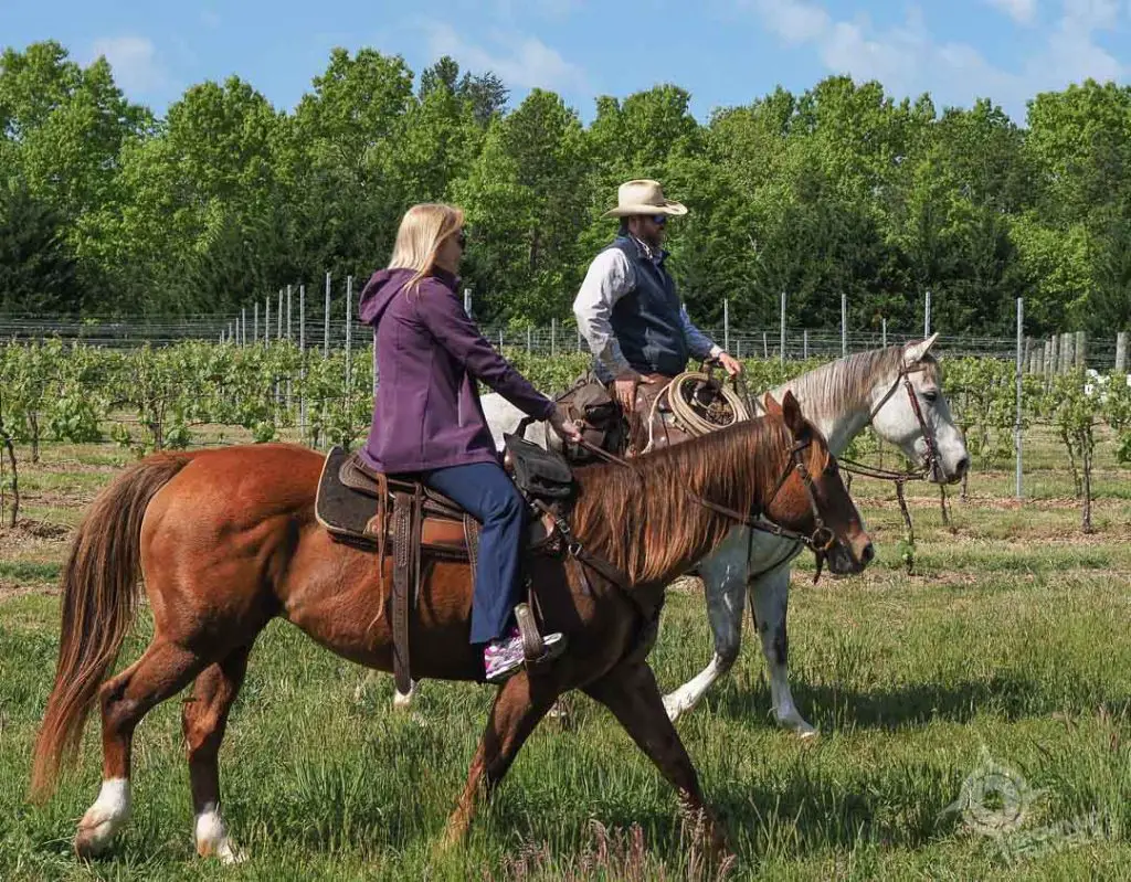 Ashton and Jane chatting on horseback ride