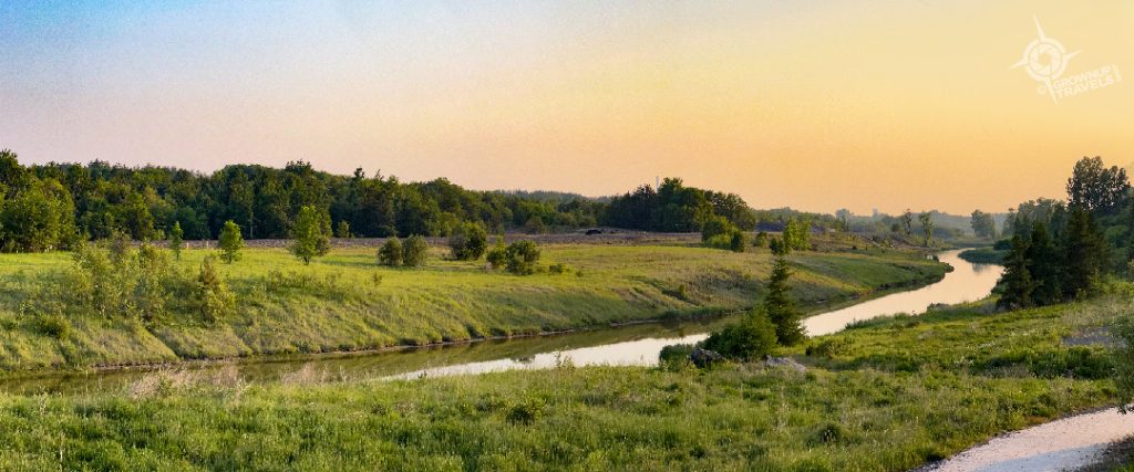 Copper Cliff hwy 17 greenery