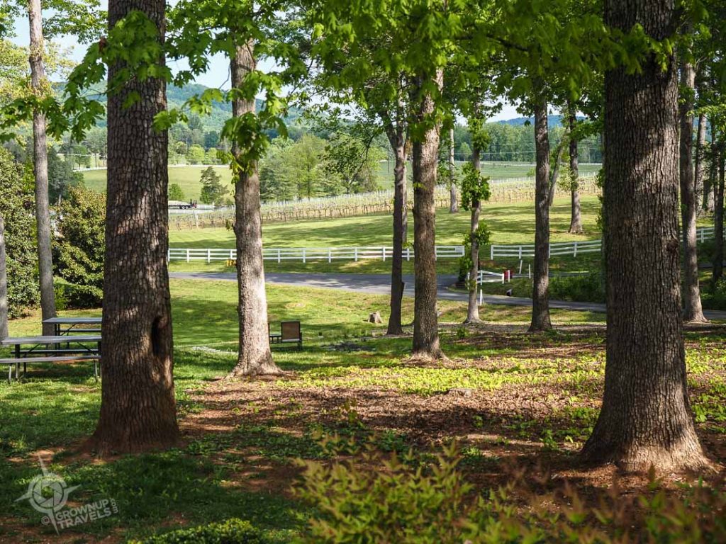 Keswick vineyards grounds
