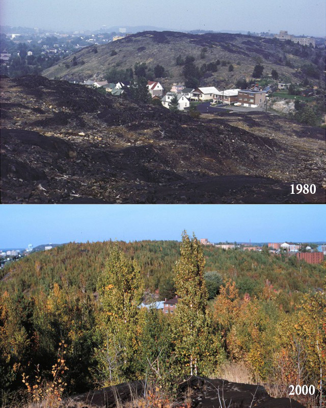 Martindale Road Sudbury transformation