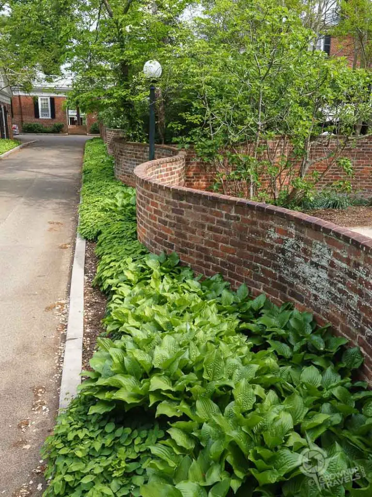 Serpentine Wall designed by Jefferson UVA Charlottesville