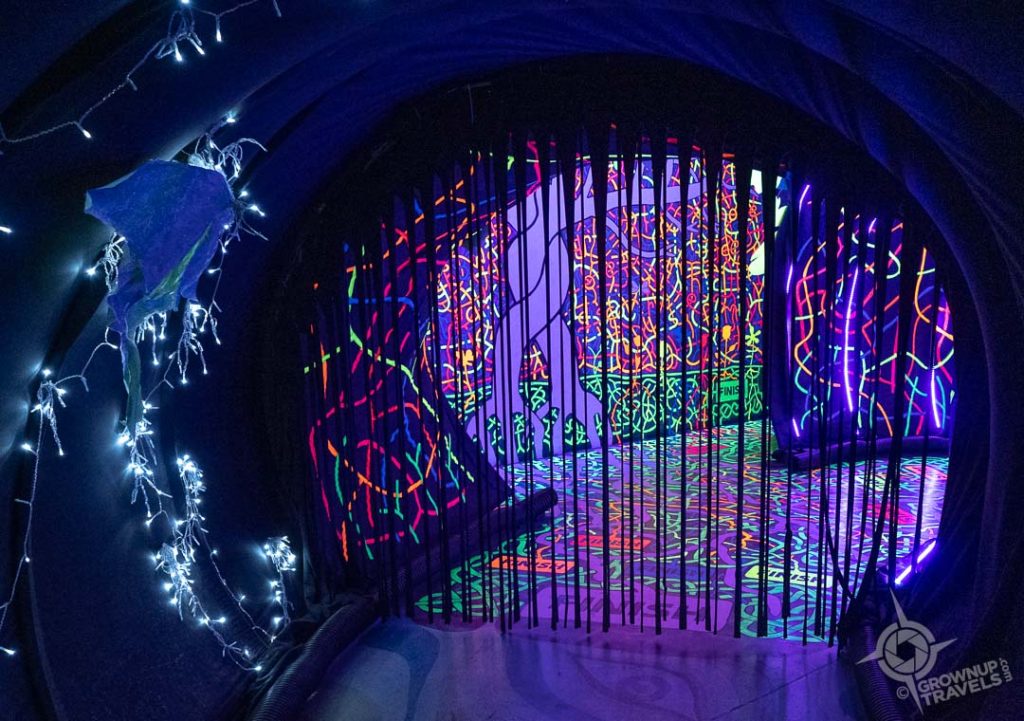 Through the Looking Glass interior