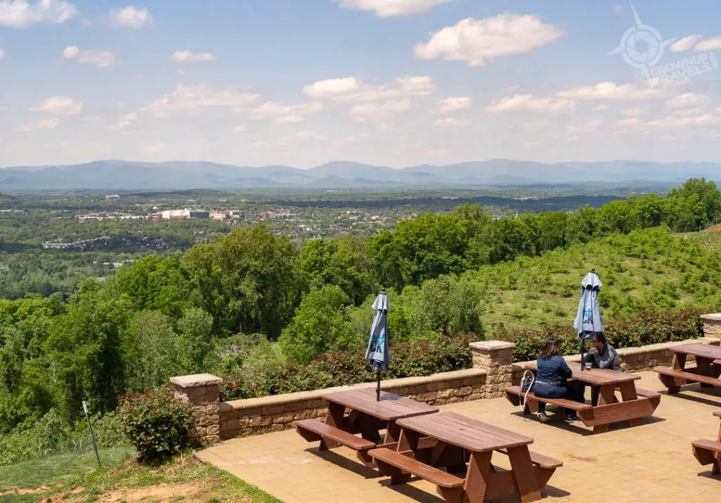 View from Carter Orchard Tap Room Charlottesville VA