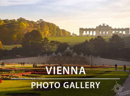VIENNA photo gallery