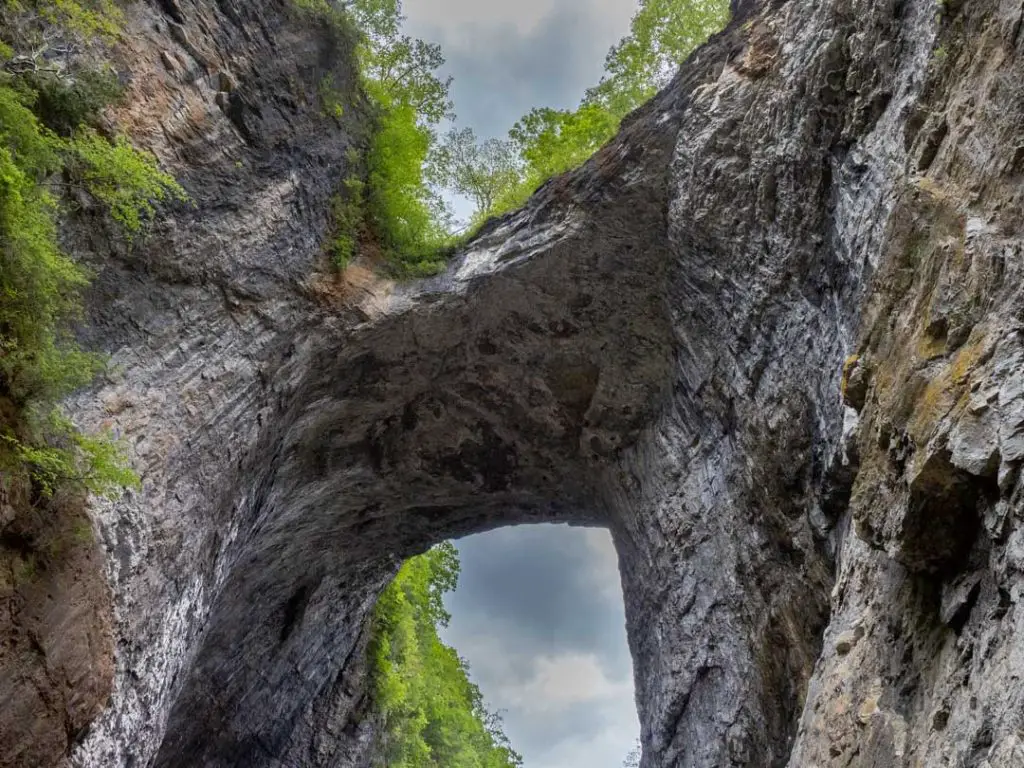 Natural Bridge arch from below