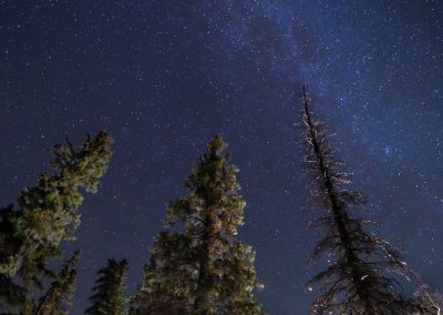 Milky Way with trees