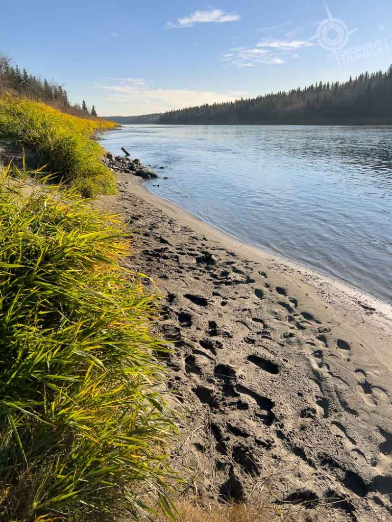 The shoreline at Metis Crossing