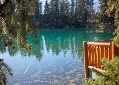Foliage framing Lac Beauvert Jasper