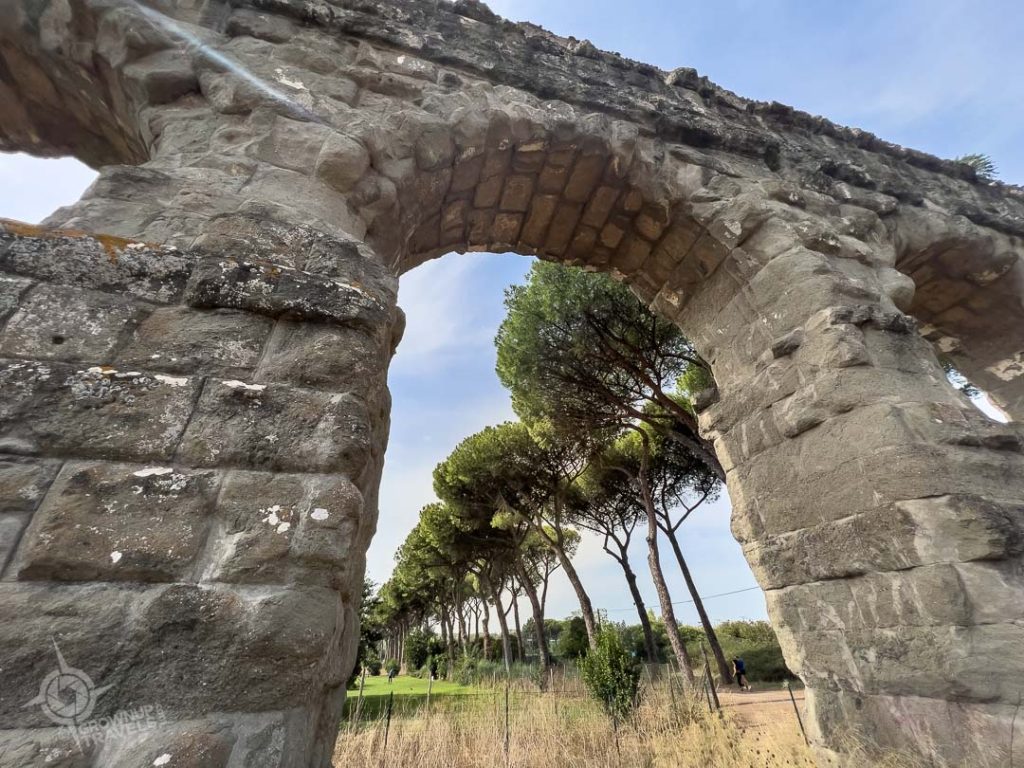 Umbrella pines through Aqueduct arch Rome