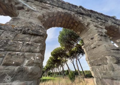 Umbrella pines through Aqueduct arch Rome