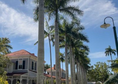 Edison Ford Estates houses
