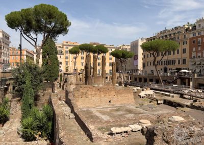 Largo Argentina ruins Rome