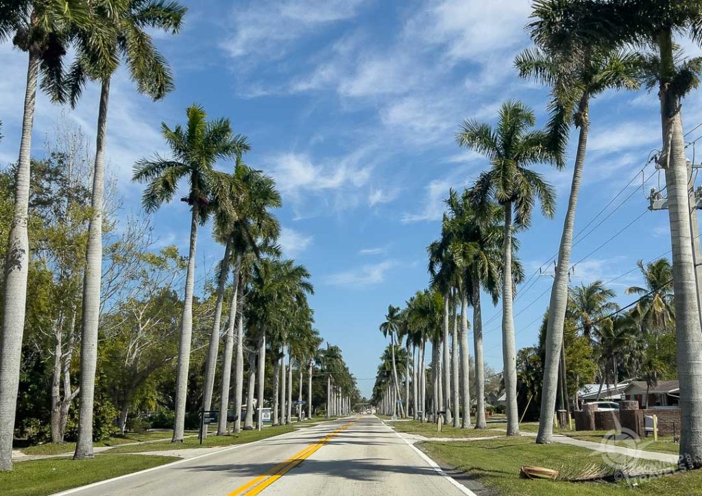 McGregor Boulevard Fort Myers-2