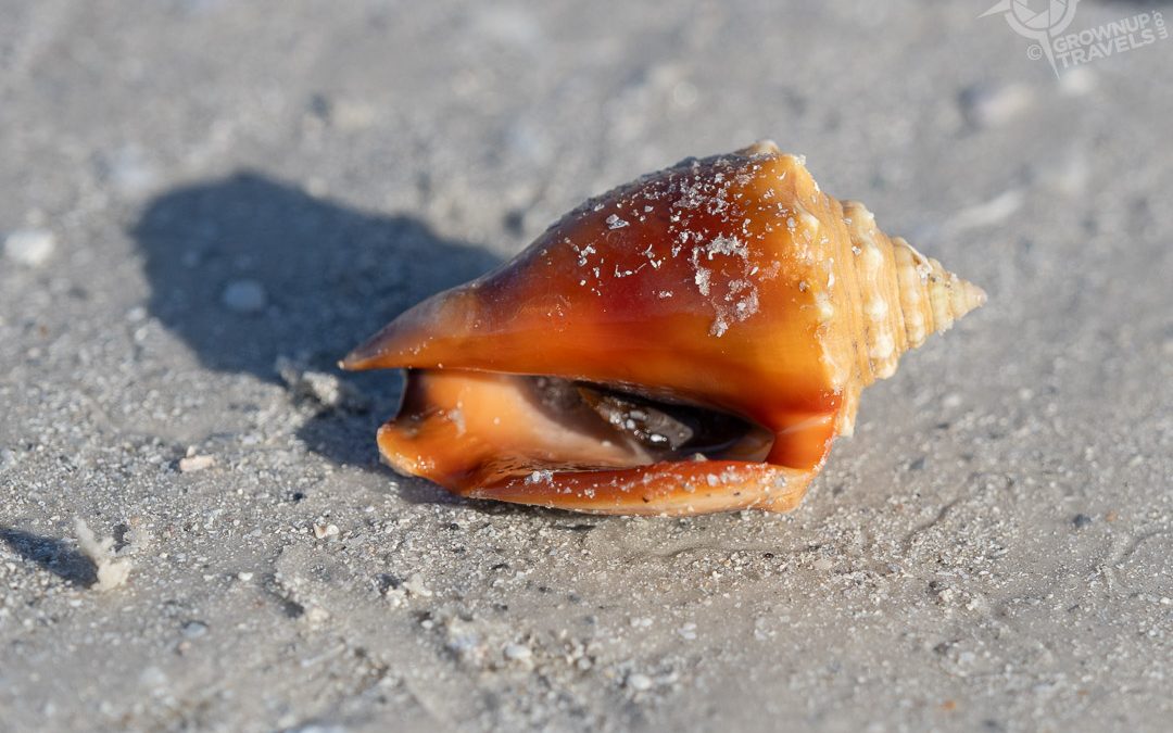 Slowing the Pace at ‘Tween Waters on Captiva Island
