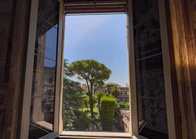 Umbrella Pine from palazzo window Rome