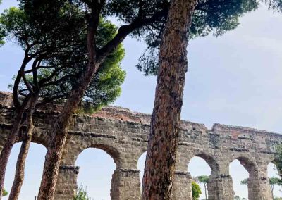 Umbrella pines near Aqueducts Rome
