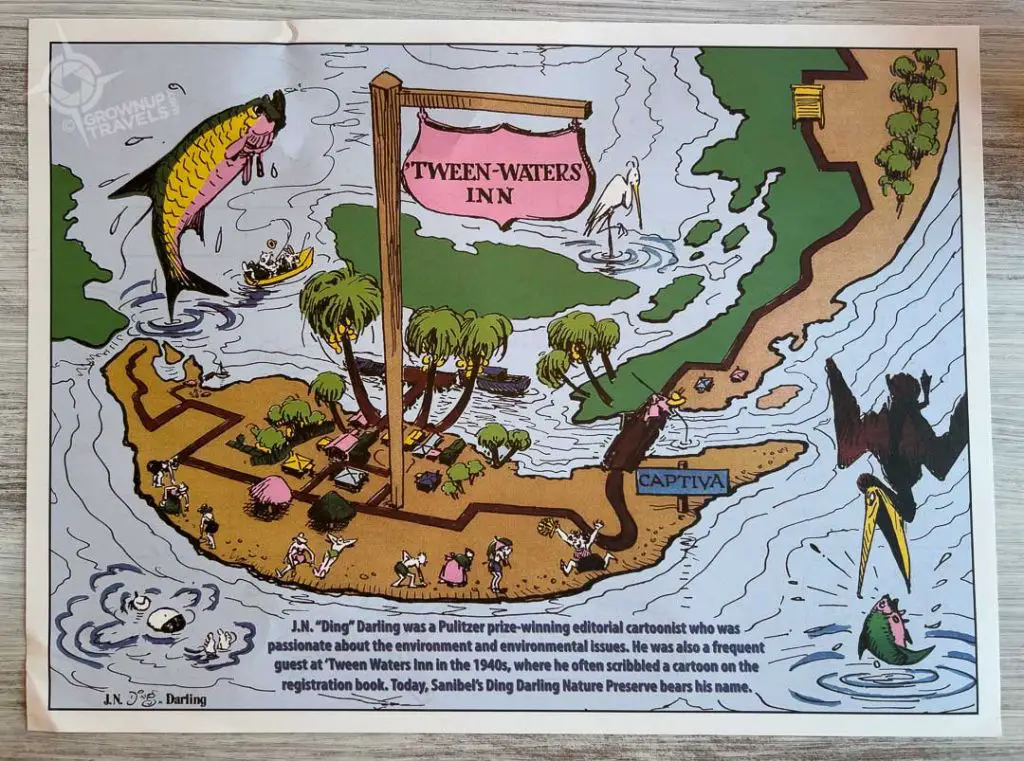 Ding Darling illustrated placemat 'Tween Waters